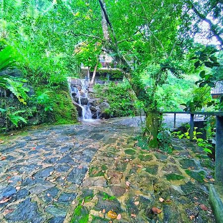 Forest Shade Eco Resort Deraniyagala Εξωτερικό φωτογραφία