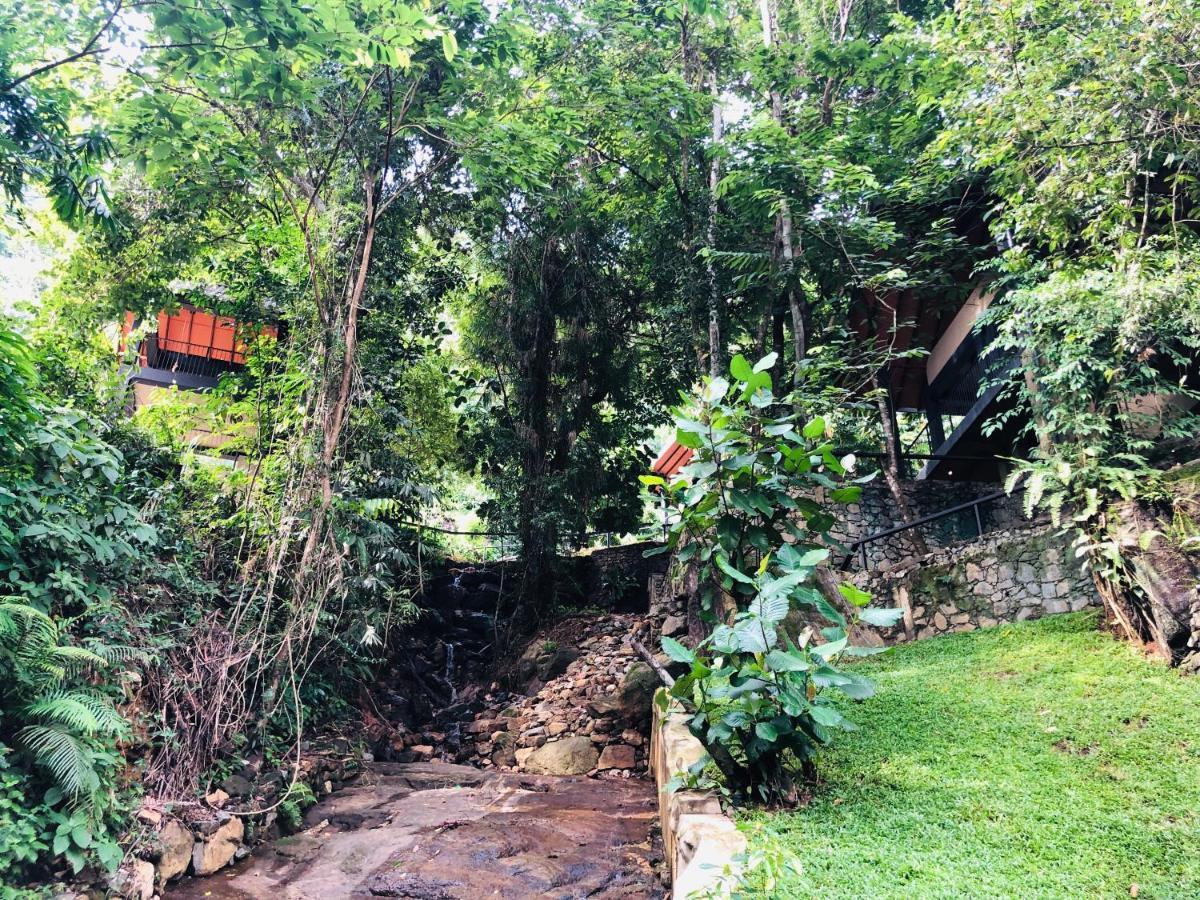 Forest Shade Eco Resort Deraniyagala Εξωτερικό φωτογραφία