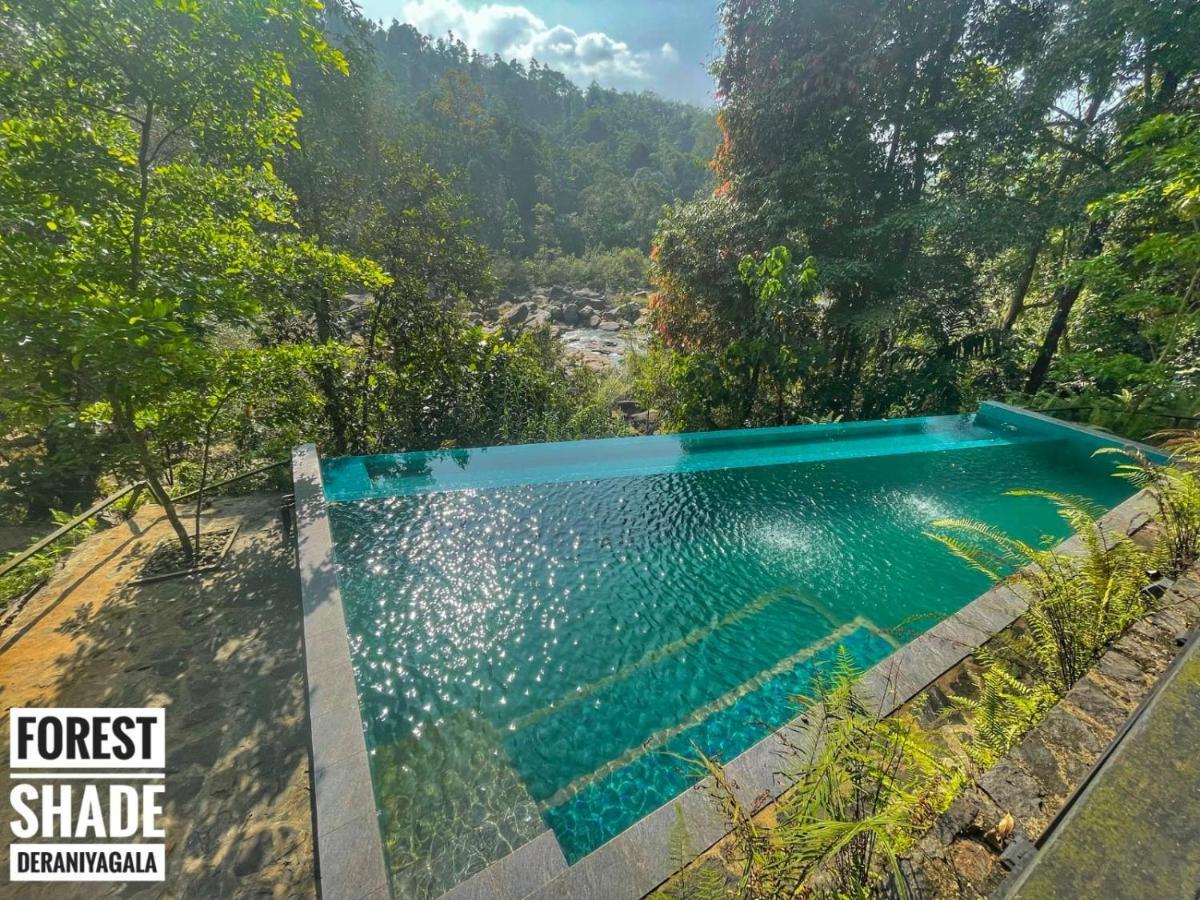 Forest Shade Eco Resort Deraniyagala Εξωτερικό φωτογραφία